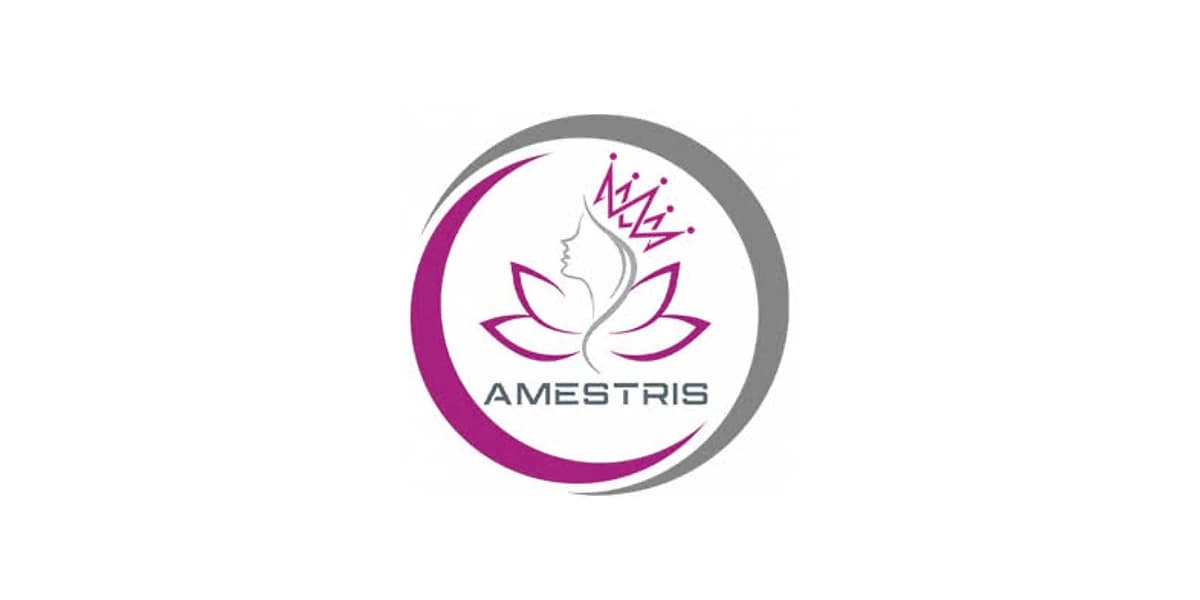 لوگوی کامل برند amestris
