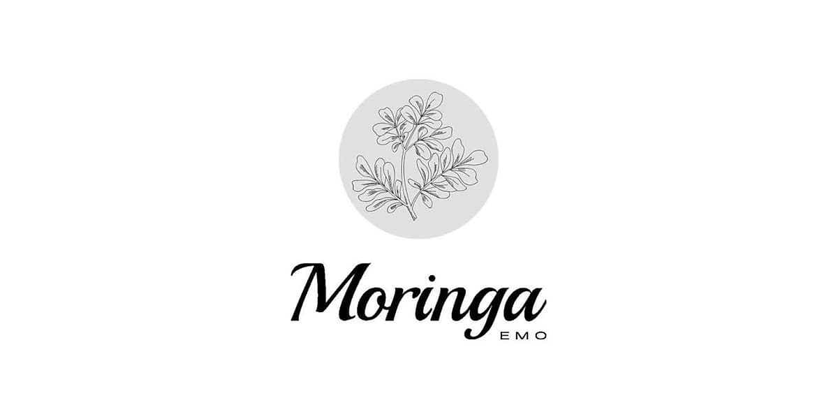 لوگوی کامل برند Moringa
