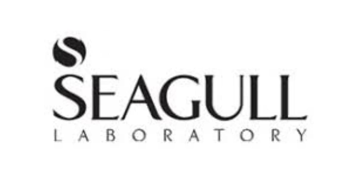 لوگوی کامل برند SEAGULL