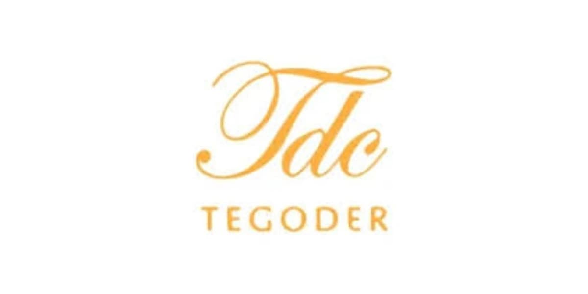 لوگوی کامل برند TDC