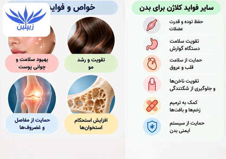 کلاژن چیست؟ | خواص و فواید کلاژن برای پوست، مو، استخوان و بدن