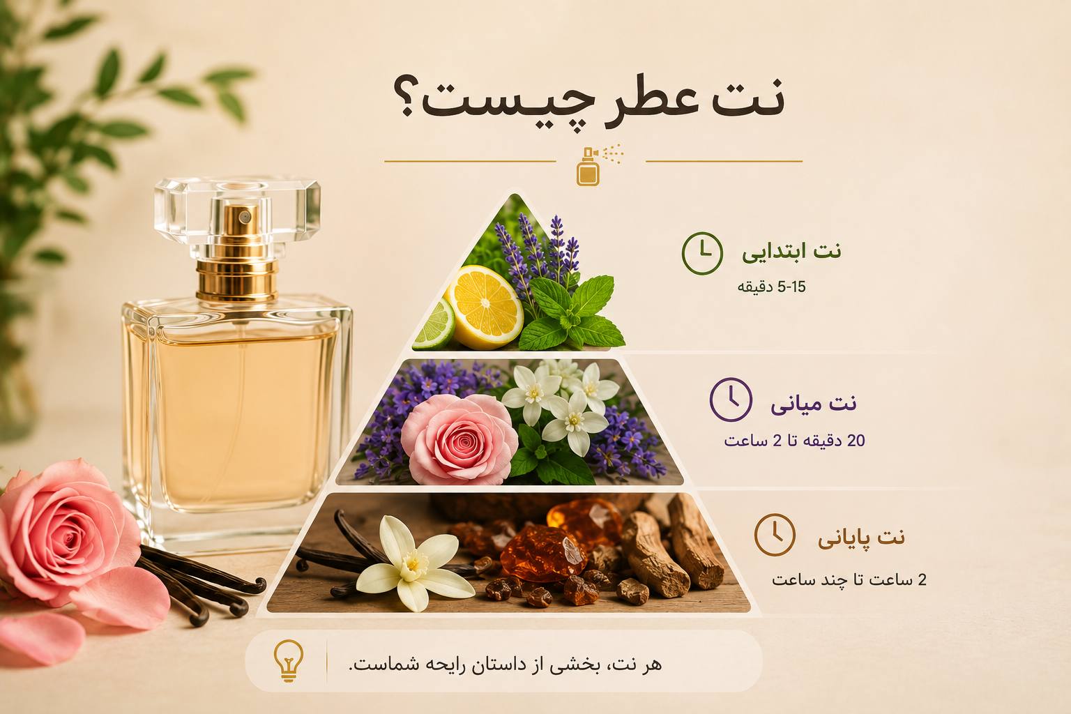 نت عطر چیست؟ | آشنایی با نت ابتدایی، میانی و پایانی رایحه