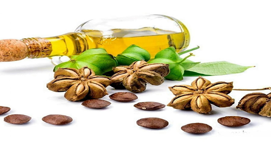 روغن اینکااینچی
