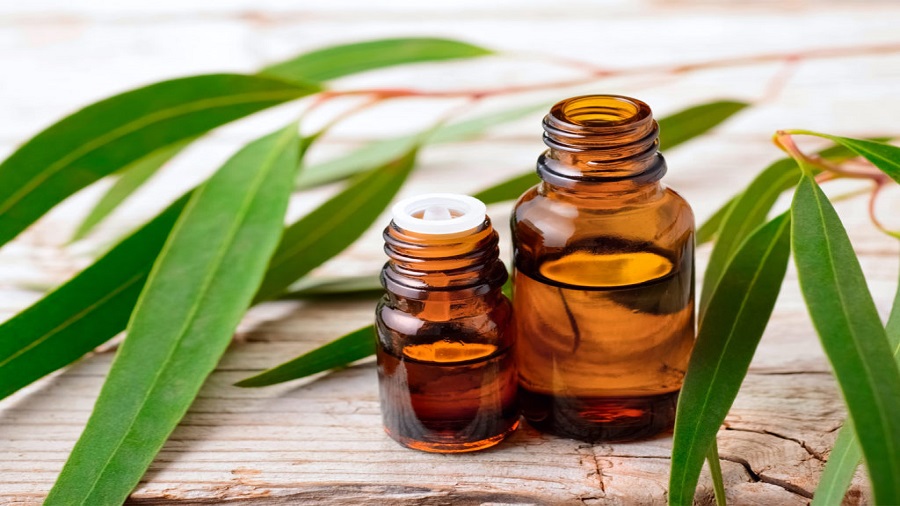 خواص روغن اکالیپتوس