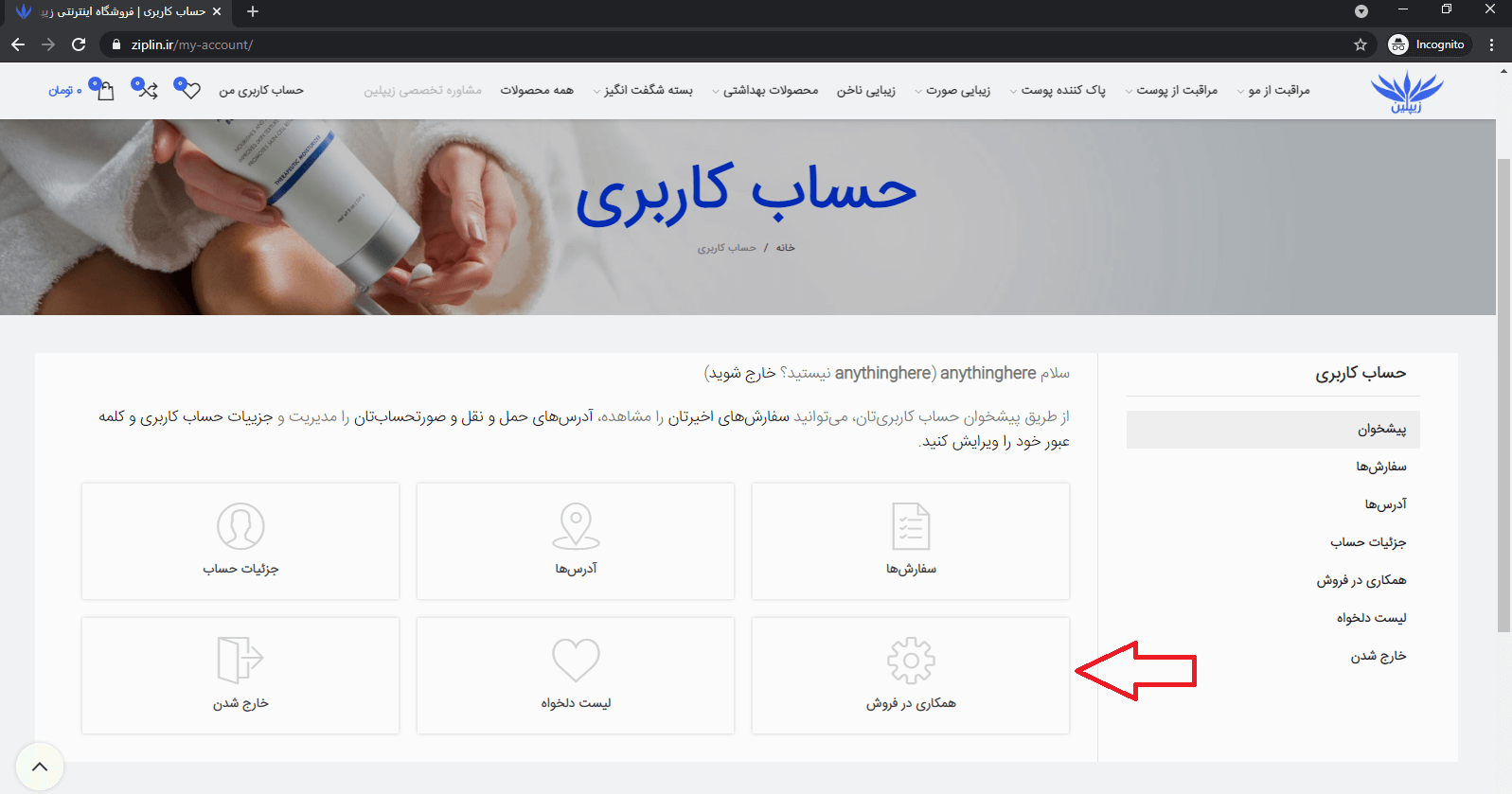 همکاری در فروش سایت زیپلین