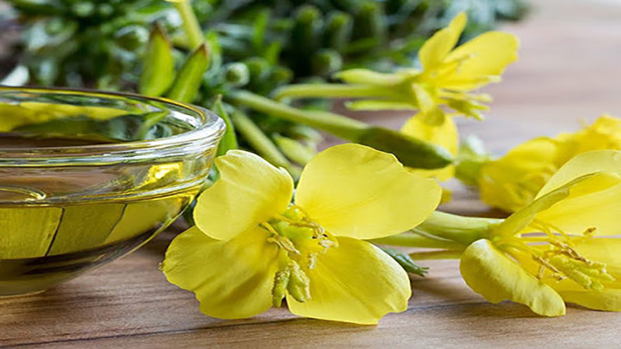خواص روغن گل مغربی.