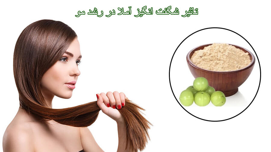 آملا رشد مو