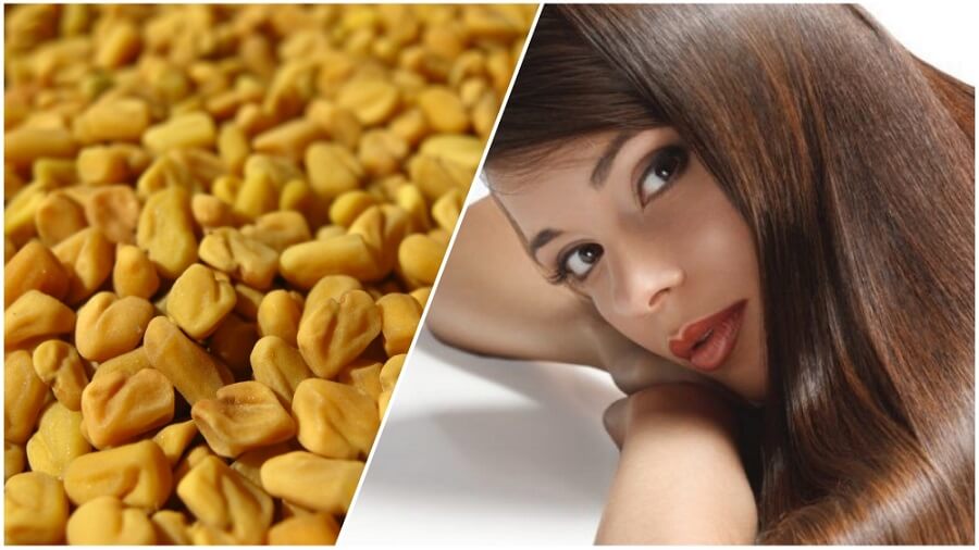 خواص تخم شنبلیله مو