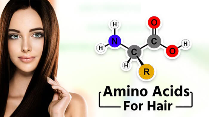 آمینو اسید برای رشد مو