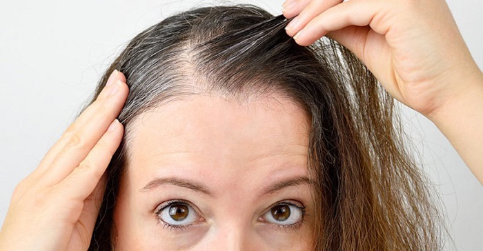 روغن میخک موثر در جلوگیری از سفیدی زود رس مو