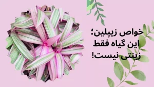 خواص زیپلین